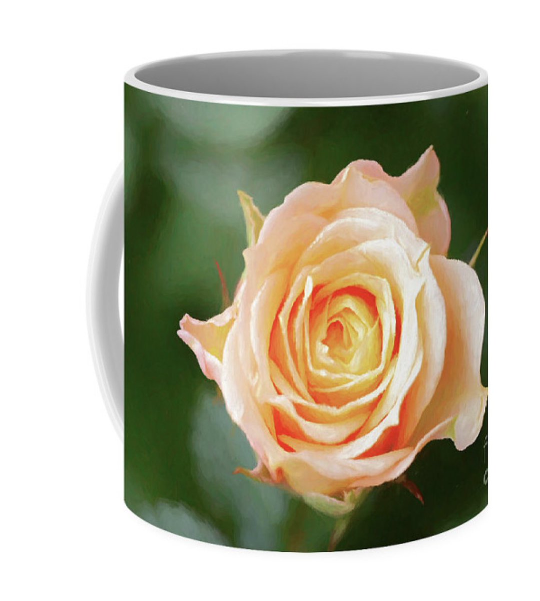 TanyaSmith24978's tweet photo. Apricot Rose Coffee Mug available HERE: https://t.co/DzR2NsexOp
#mugsdesign #mugs #floralart #rose #giftideas #gifts #AYearForArt #coffeemugs https://t.co/GtF9uCQ7Sa