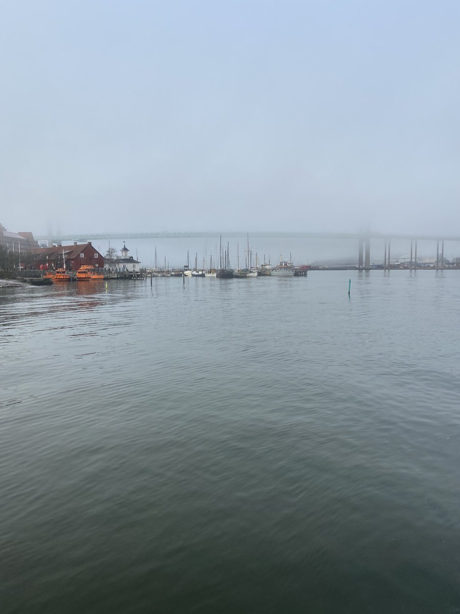 Göteborgsmorgon! 
+ 4,6 i vattnet, - 0,5 i luften.
Vår stad är vacker.