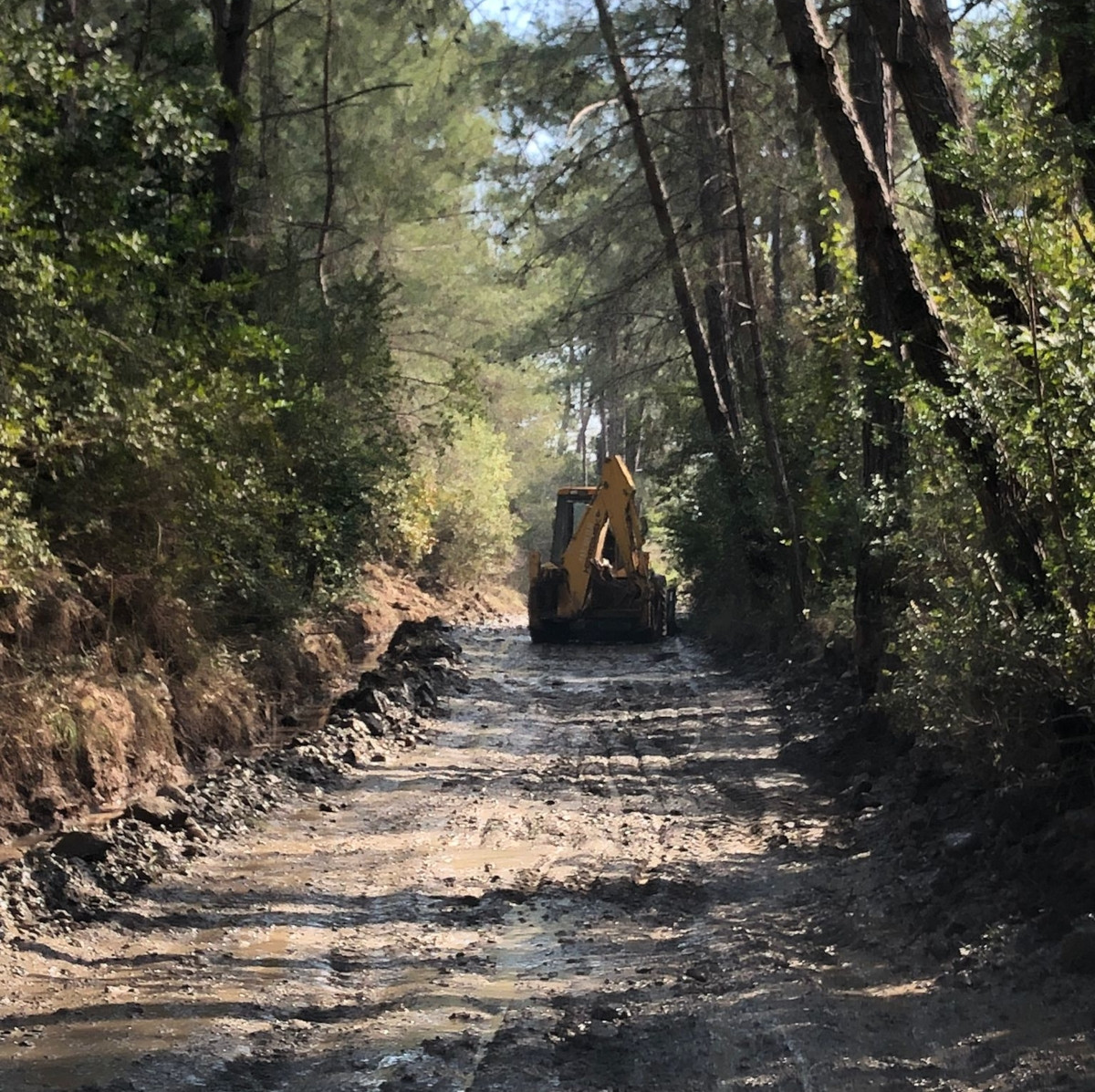 2-Bakanlığın Phaselis'teki bilimsel çalışmalar için 2022'de ayırdığı 60 bin TL'lik bütçe ise antik kenti yapılaşmaya açmak için ayırdığı bütçenin yaklaşık 80'de biri. Kazı için yapılan açmaların onlarca kat daha fazlası (2892 metreküp) yıkım için yapılacak.