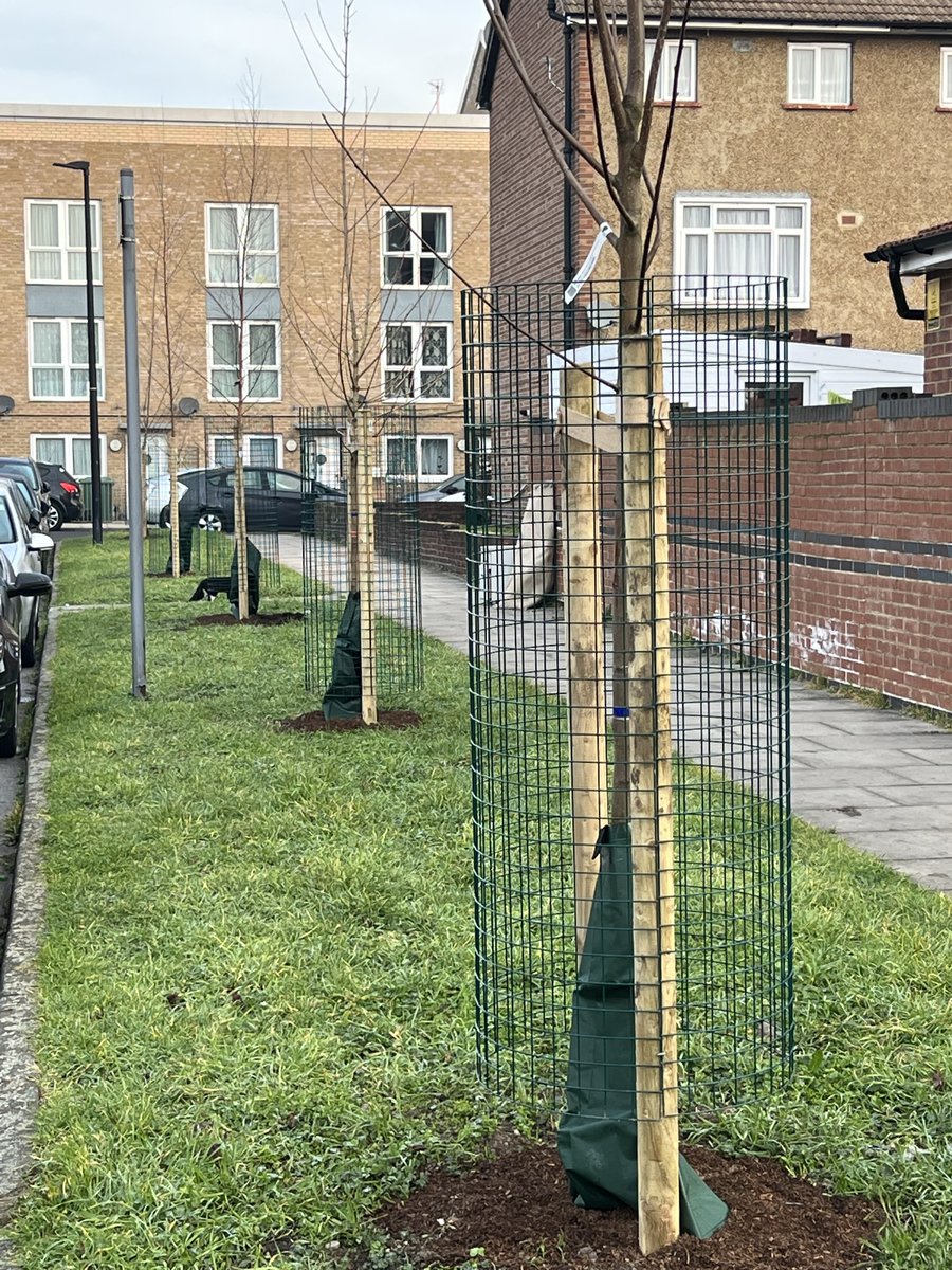 Trees for Streets (@treesforstreets) on Twitter photo Locally based companies 🏭can put something back into their neighbourhoods by funding street tree planting🌳🌳in the less affluent, low tree-cover streets.
We thank🙏 Tower Hamlets based architects, <a href="/RivingtonSSA/">Rivington Street Studio</a>, for helping green a tree-less street.
treesforstreets.org/transforming-a… Locally based companies 🏭can put something back into their neighbourhoods by funding street tree planting🌳🌳in the less affluent, low tree-cover streets.
We thank🙏 Tower Hamlets based architects, <a href="/RivingtonSSA/">Rivington Street Studio</a>, for helping green a tree-less street.
treesforstreets.org/transforming-a…
