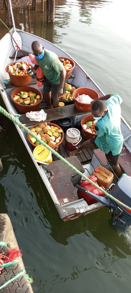 RichardSsuna's tweet image. This was their morning meal. #LiberiaChimps #StopAnimalTesting