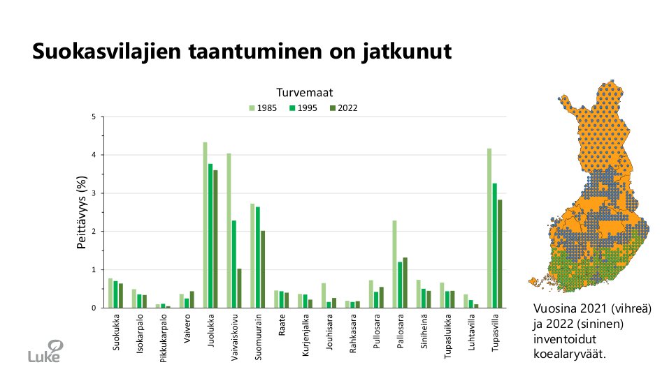 tiinavuoristo's tweet photo. Monien suokasvilajien taantuminen on jatkunut, nostaa esille @RaisaMakipaa (@LukeFinland). Suoelinympäristöissä onkin paljon potentiaalia monimuotoisuuden tilan parantamisessa. Metsänkäsittelymenetelmien monipuolistaminen on yksi keinoista.
#OperaatioMustikka #luonto https://t.co/QbaDGdQZn0