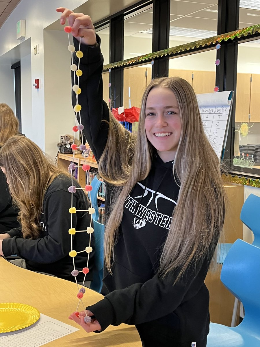 AliciaSpray's tweet photo. It was the 8th grade’s turn to build a double helix based on their DNA. @PrincipalTiz @SmsWildcat https://t.co/dx7mG7KM03