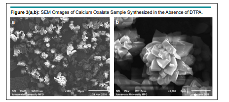 NPOJ - Openventio Publishers tweet media