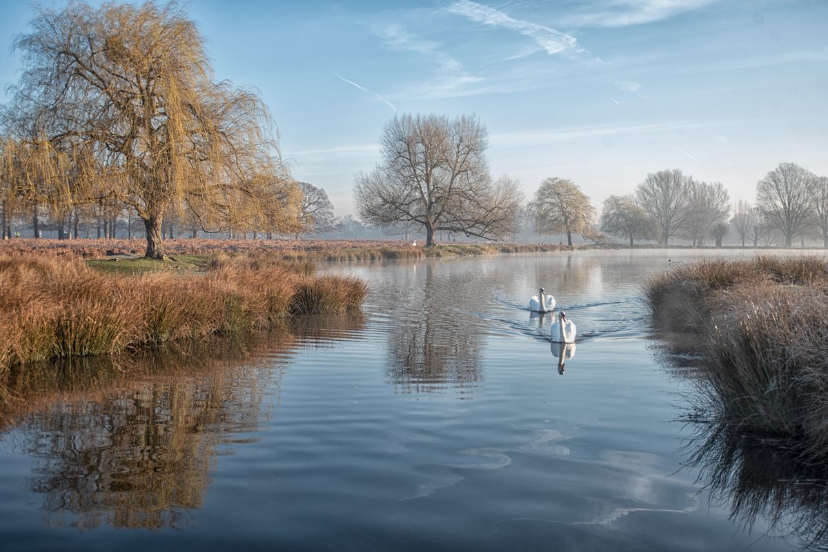 The Royal Parks tweet media