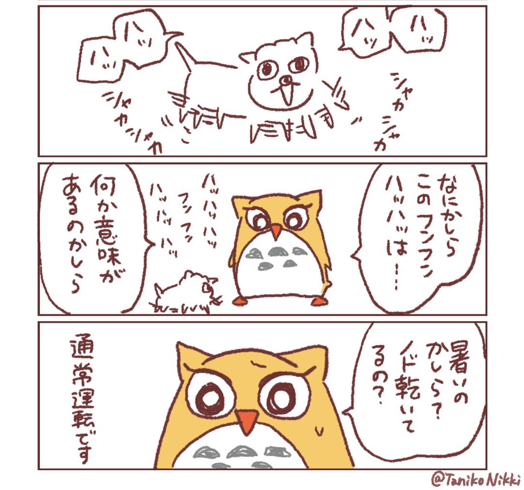 猫を飼っている義母と実家の犬の話

#鶏さんの絵日記 