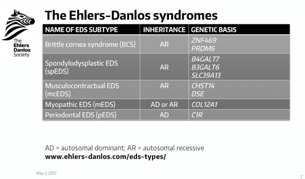 SEDSConnective's tweet image. Today is #RareDiseaseDay2023 
There are 13 named types of Ehlers-Danlos syndromes. 

Some people have very rare types of Ehlers-Danlos syndromes 
Here are the ones with a confirmed genetic basis from @TheEDSociety