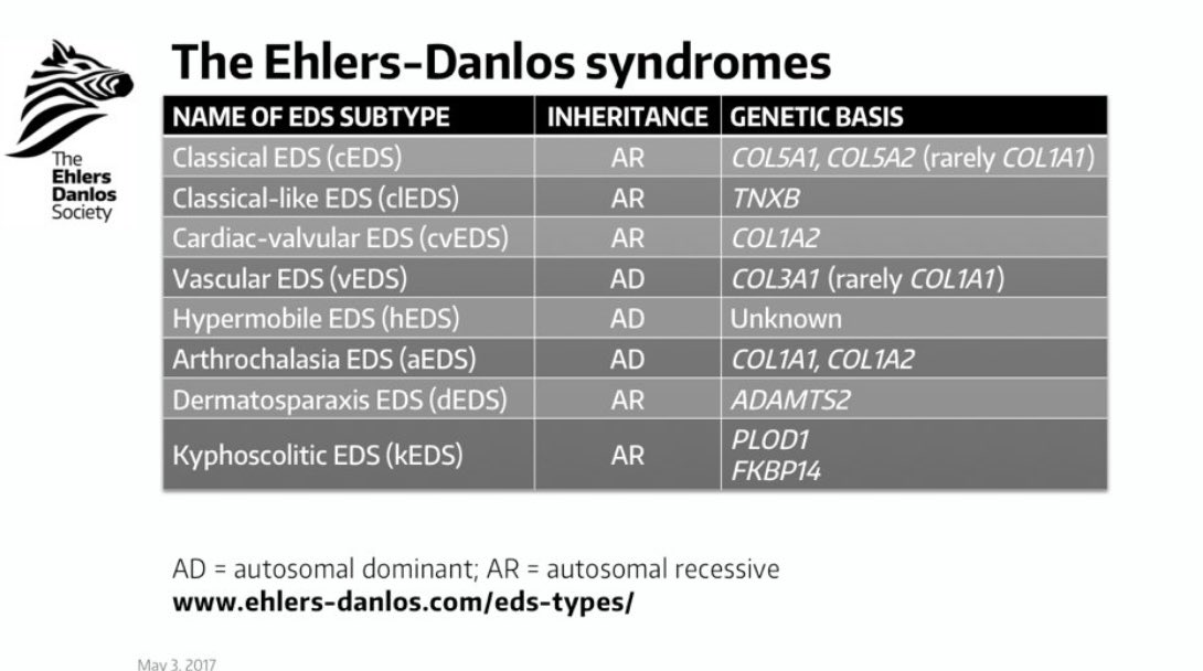 SEDSConnective's tweet image. Today is #RareDiseaseDay2023 
There are 13 named types of Ehlers-Danlos syndromes. 

Some people have very rare types of Ehlers-Danlos syndromes 
Here are the ones with a confirmed genetic basis from @TheEDSociety