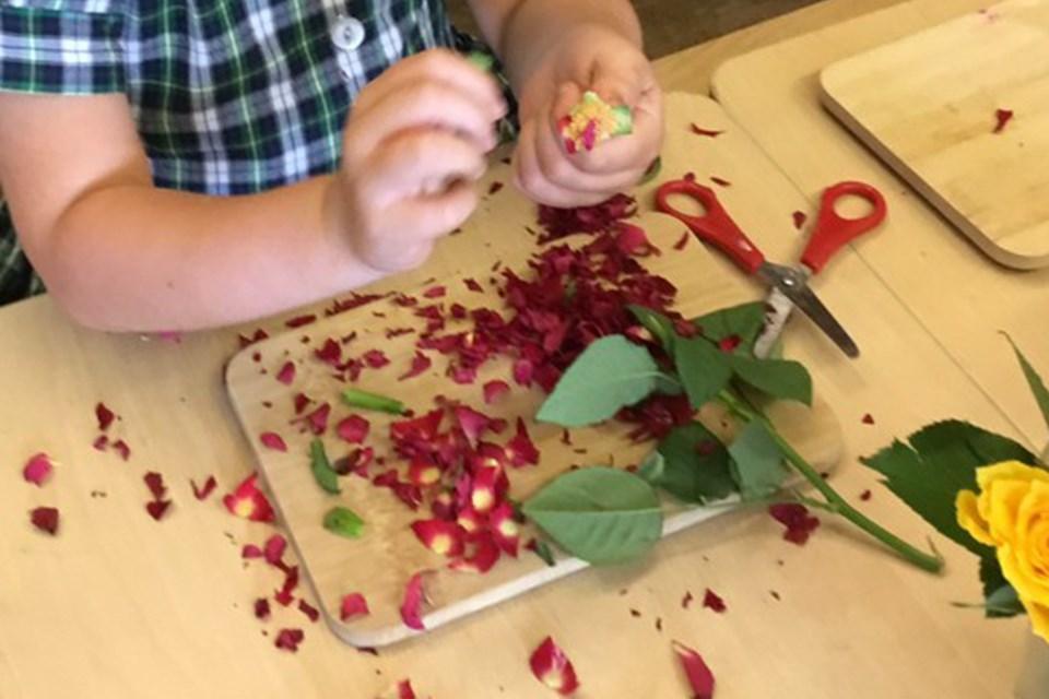 EYEearlyEd's tweet photo. Play experience case study: Investigating with flowers #EYFS #TeamEC https://t.co/8QpJI2hCa9 https://t.co/mXzeXmZrX4