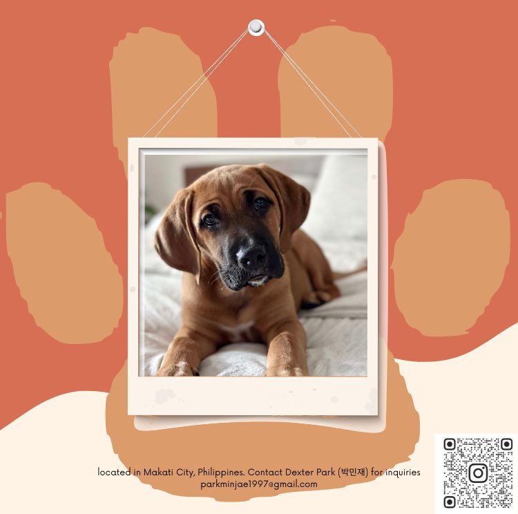 ⠀⠀
Welcoming our new babies! So happy to have the opportunity to love and take care of them 🥰 
⠀⠀