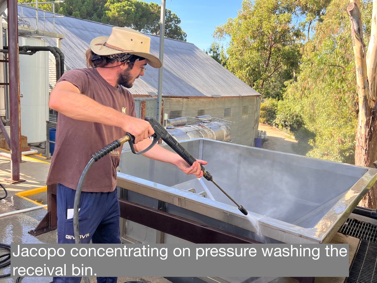 It’s the night before vintage!!

As is tradition, we have all jumped on the scales for the pre-vintage weigh in, this year with a new addition of our vintage mascot, Sunny!!

Who knows which way the scales will tip at the end of vintage!?!?!
 
Wish us luck Angels!!