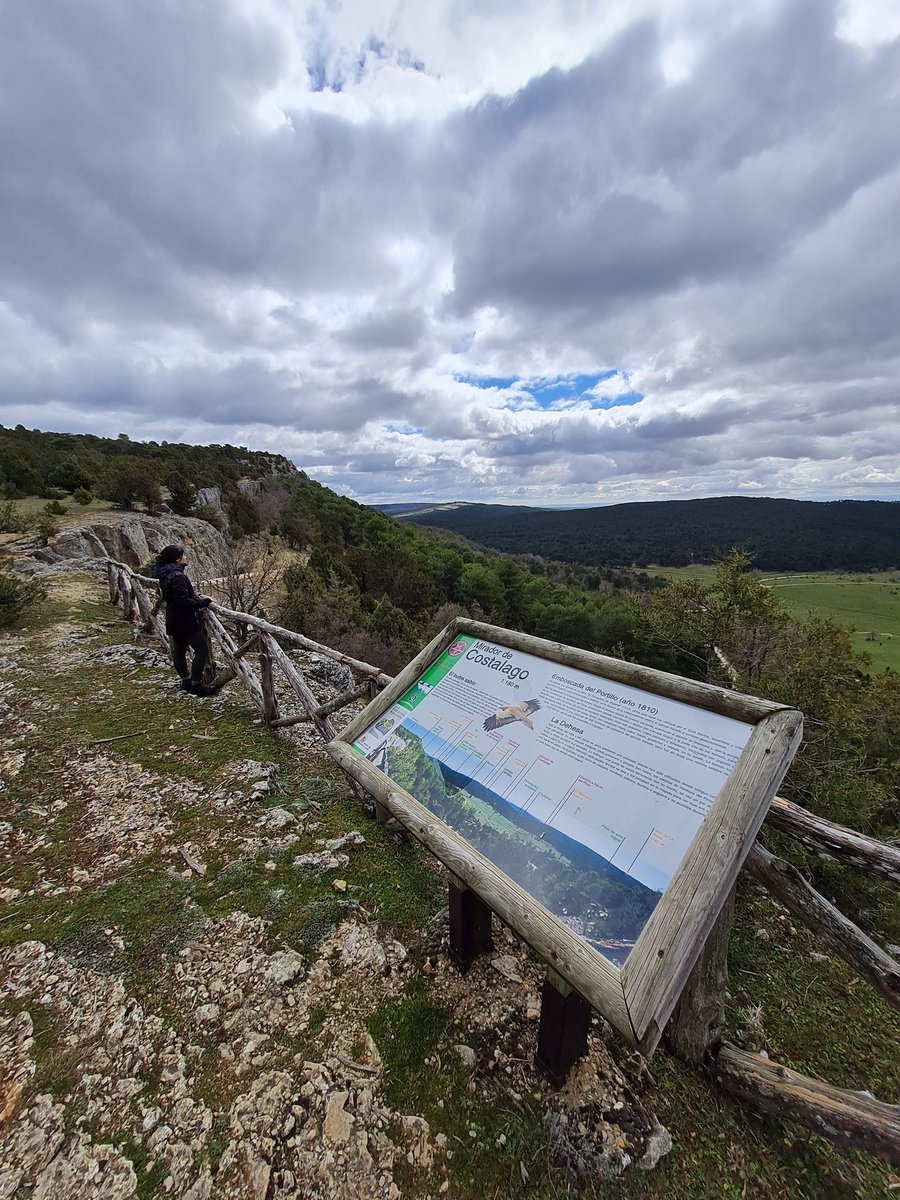 sanleonardotm's tweet photo. ¡Otro mirador del Cañón del Río Lobos cercano a San Leonardo!
Hoy nos vamos hasta Costalago, en la parte burgalesa del Parque Natural.
📸 @Rociowaly
#costalago #sanleonardo #soria #burgos #castillayleon #turismo #sanleonardotienemagia #patrimonio #naturaleza @CyLesVida https://t.co/CswtyiYxsv