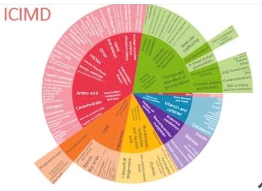 Son casi 1500 #EnfermedadesMetabólicas raras que afectan a mas de 1 de cada 1000 recién nacidos. 

📌 “Muchos pocos hacen mucho”.

Lo más importante de “pensar en metabolico” no es que sea uno de los grupos de trastornos con mayor número de enfermedades.