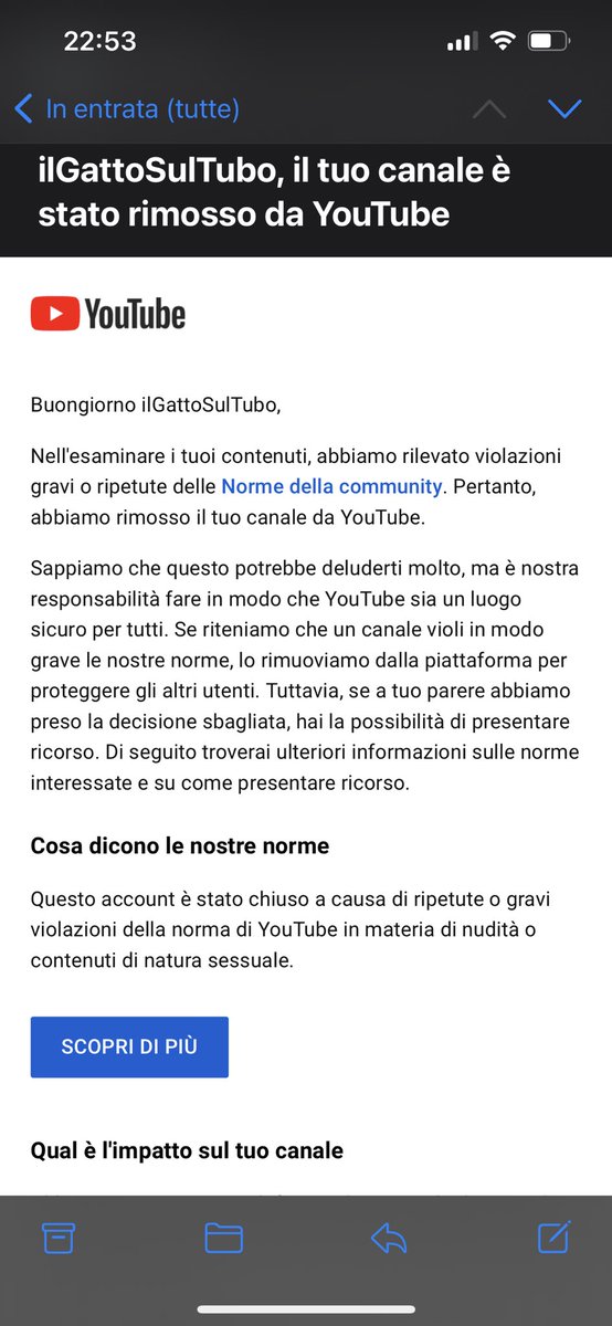ilGatto tweet media