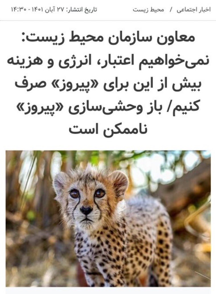 thSarv's tweet photo. پروژه تلف کردن #پیروز به سرانجام رسید.
نه می‌بخشیم و نه فراموش می‌کنیم. https://t.co/5WqR69aFzI