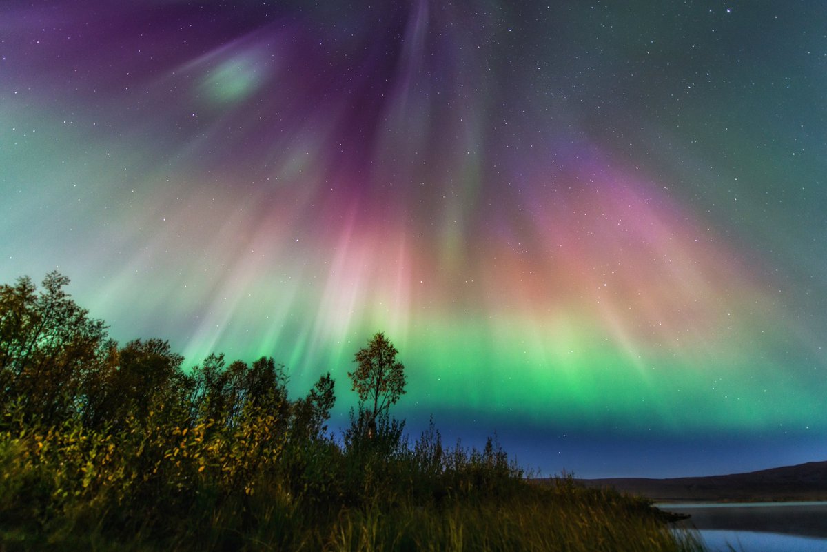 AngryTheInch's tweet photo. March is coming up! 
The equinoxes are prime time for the aurora. Like the shows we've been getting lately, the aurora around the equinox tends to be explosive to say the least. With colorful coronas like these lighting up the sky, spectacular way to end the season. https://t.co/4lufubIcuR