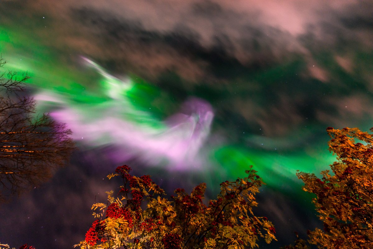 AngryTheInch's tweet photo. March is coming up! 
The equinoxes are prime time for the aurora. Like the shows we've been getting lately, the aurora around the equinox tends to be explosive to say the least. With colorful coronas like these lighting up the sky, spectacular way to end the season. https://t.co/4lufubIcuR