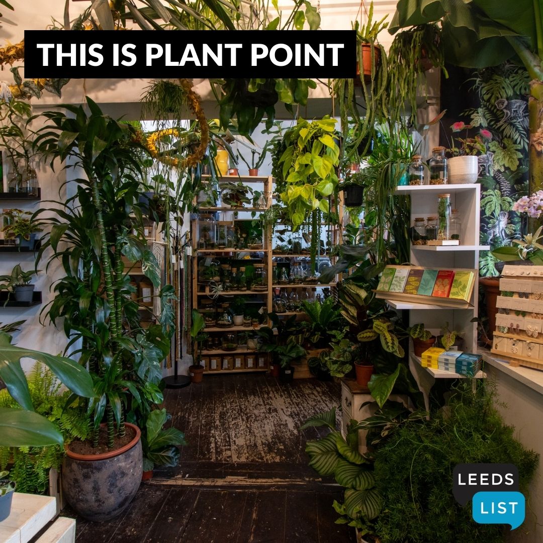 Leeds_List's tweet photo. GREEN GOODNESS // YOUR ONE-STOP SHOP FOR PLANT HEAVEN

Did you know you can step into a jungle without leaving #Leeds? The Plant Point is a must-visit for plant lovers, filled with lush green leaves that you can take away to brighten up your home. Why not pay them a visit? https://t.co/XT6Cug1yB1