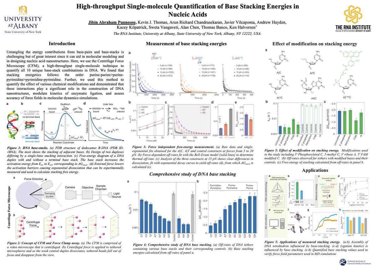Excited to share our work on quantification of base-stacking energy in nucleic acids and its applications nature.com/articles/s4146… in #RSCPoster #RSCPhys #RSCNano #RSCChemBio