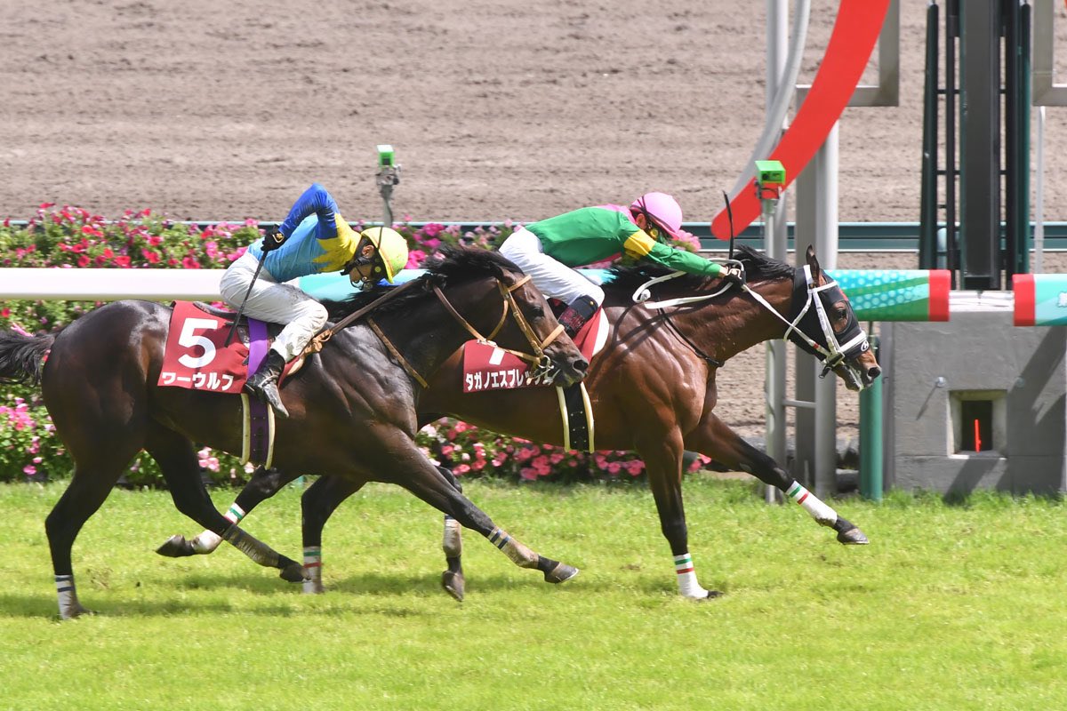 画像の主役がおじじ(タガノエスプレッソ)なの何気に珍しい一枚ですよね。いつも映り込んでるものか、見切れているかのものが多すぎるので。