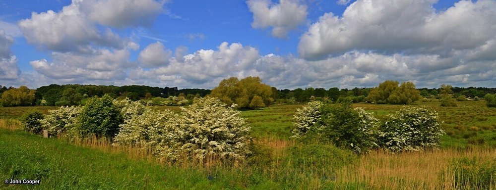 TheSuffolkMan's tweet photo. @PanoPhotos overlooking #Kyson #Marshes #Woodbridge #Suffolk #Maytime https://t.co/WBqxKWuU1T