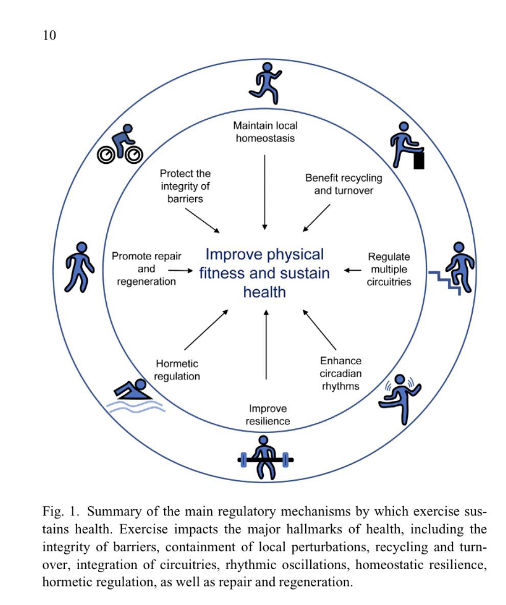 Exercise is the key to live a healthy life.
A study highlights biologics through which moderate-intensity exercise plays a key role to maintain health