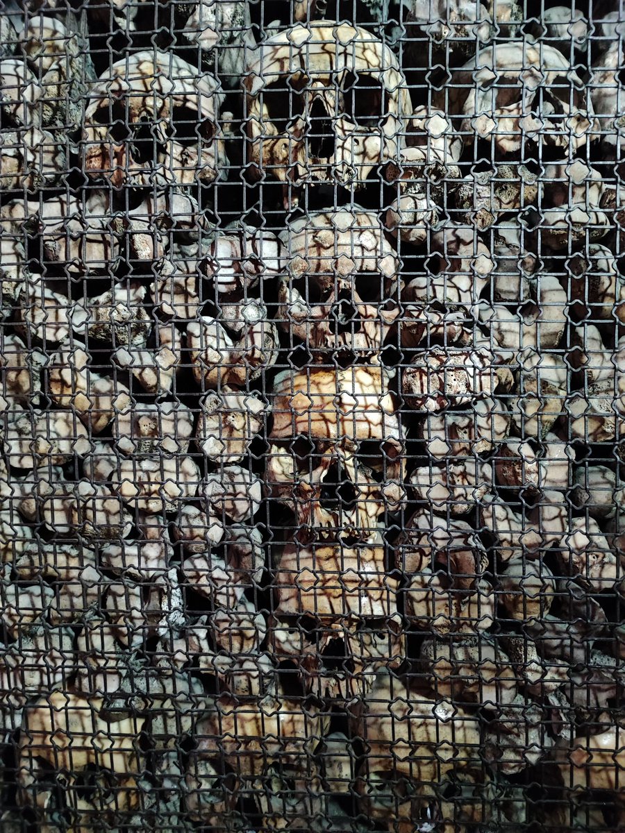 GM my beautiful fam 🤩😍
Have a great day and think positive 🔥
#NFTCommunity #NFTFam