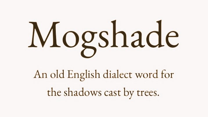 Cian McCarthy tweet media