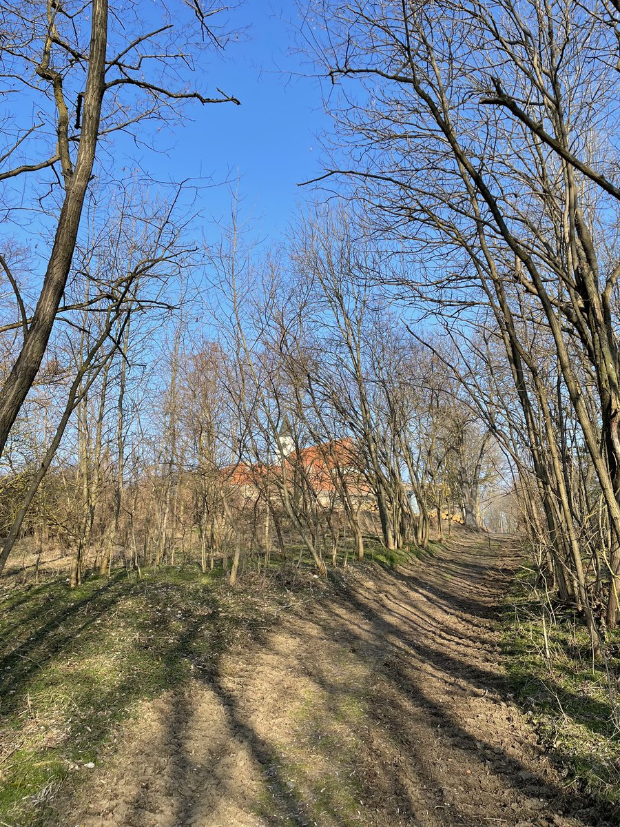 biogartler's tweet image. Am „Weg der Stille“
#pernegg #fasten