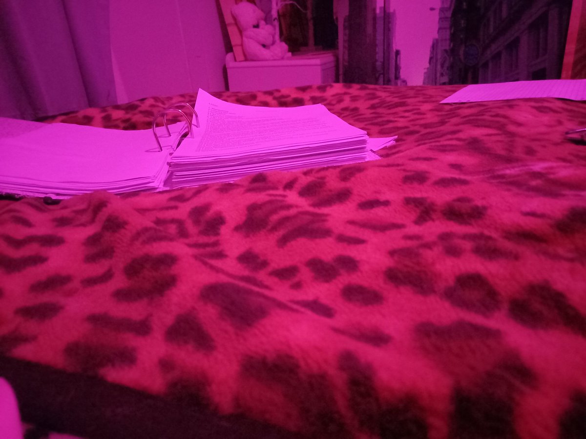 thefeistylady's tweet photo. Oh look look its my book book https://t.co/bFbU7adEKy