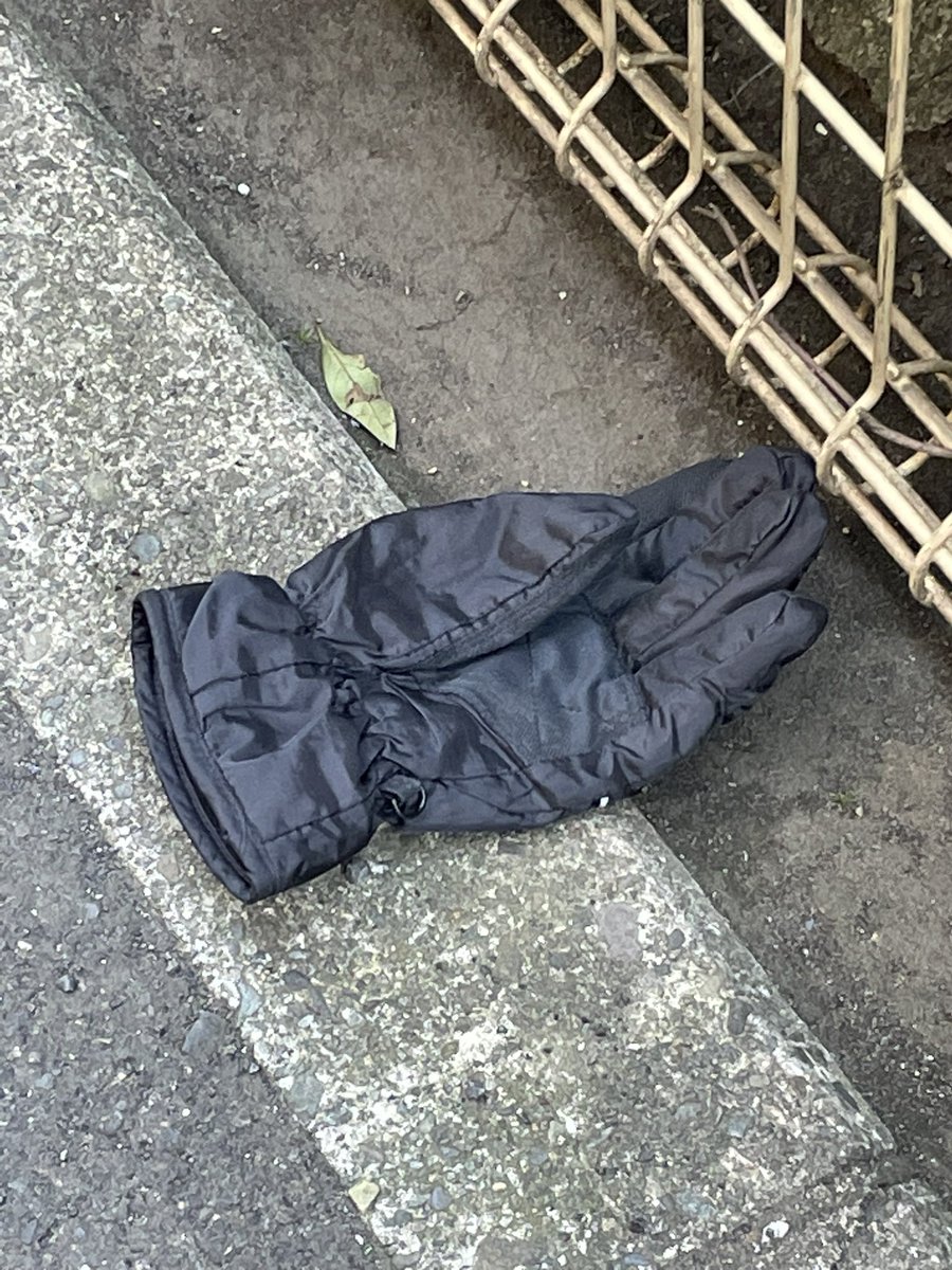 tebukuro7188's tweet photo. トムハンクス
朝寒くてお昼に暖かくなるとトムハンクス増えるね https://t.co/MEh7RyLwLG