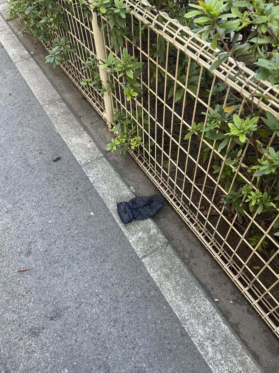 tebukuro7188's tweet photo. トムハンクス
朝寒くてお昼に暖かくなるとトムハンクス増えるね https://t.co/MEh7RyLwLG