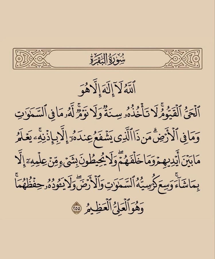 كبنتر tweet media
