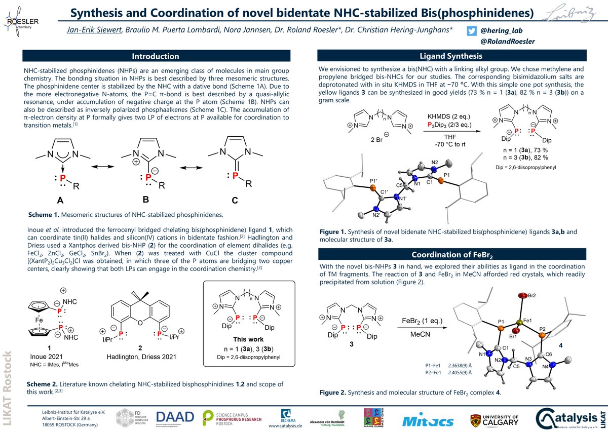 siewert_jan's tweet photo. Bidentate NHC-stabilized Bis(phosphinidenes) - Happy to share my recent work at the RSC Twitter Conference. @RoySocChem
 A fruitful collaboration with @RolandRoesler and @hering_lab.
 #RSCPoster #RSCInorg https://t.co/XVOYZK0Kbe