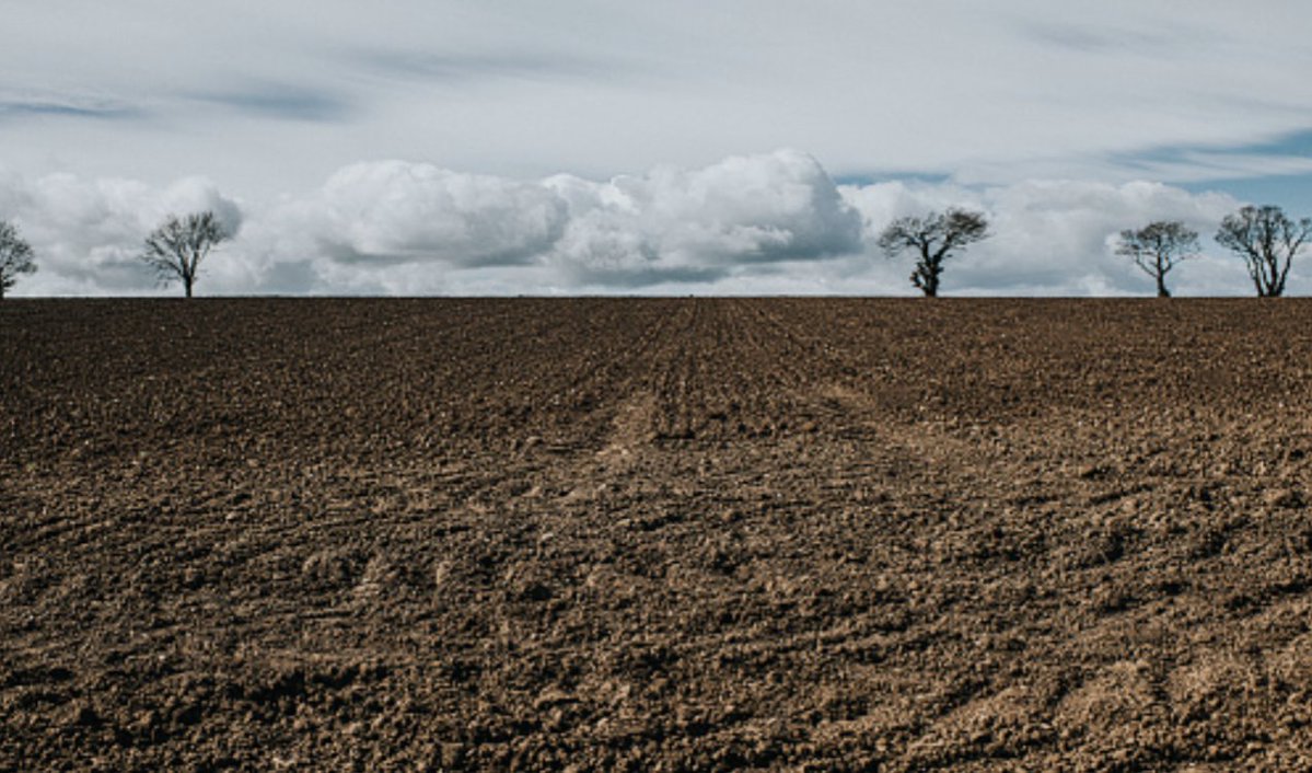 [#SIA2023] 🌾
Que veut dire un sol « sain » ? Comment dépolluer nos #sols ? Quels risques pour la #biodiversité ? 
➡️ À l’occasion du <a href="/Salondelagri/">Salon International de l'Agriculture</a>, l'<a href="/ademe/">ADEME</a> vous invite à découvrir son guide « L’avenir des sols en 10 questions » 👉librairie.ademe.fr/sols-pollues/6…