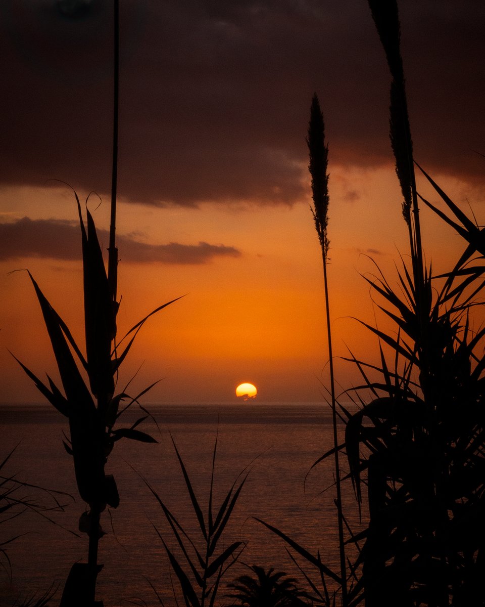 @SiKImagery Praia Formosa, Madeira.
Taken last February just as the sun quietly dipped, with a gentle hiss into the ocean.
#what3words - ///behaving.faster.blows
#visitmadeira