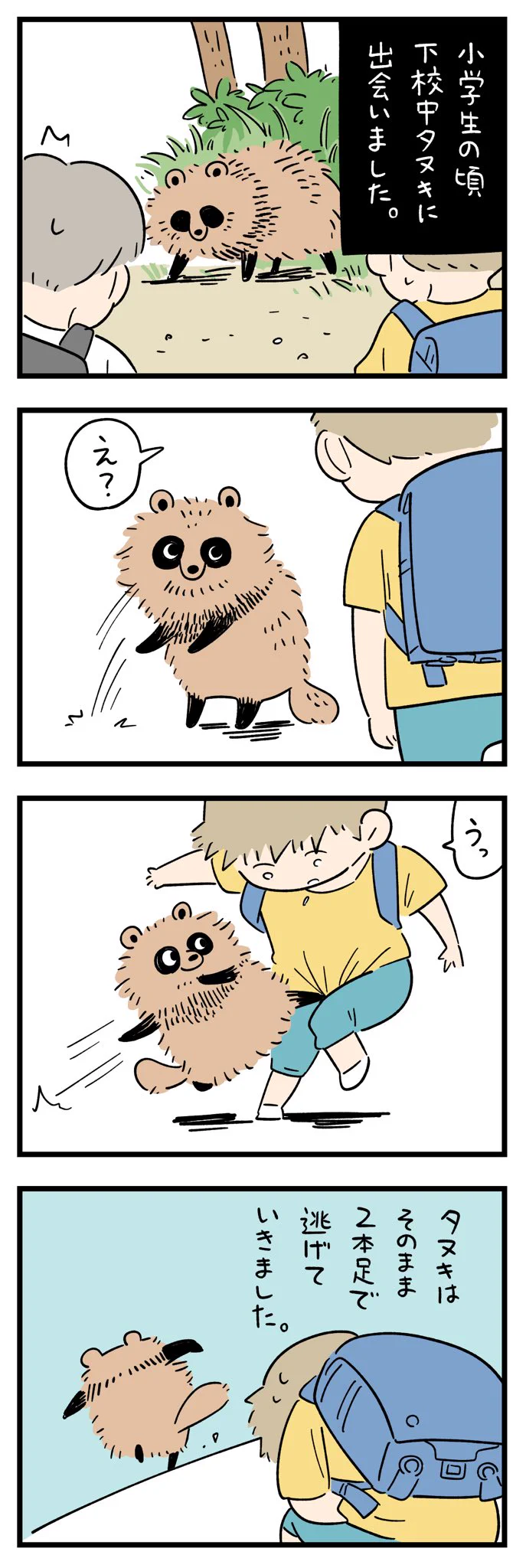 小学生の頃、下校中にたぬきと出会って･･･！たぬきにまつわるちょっぴり怖いお話！