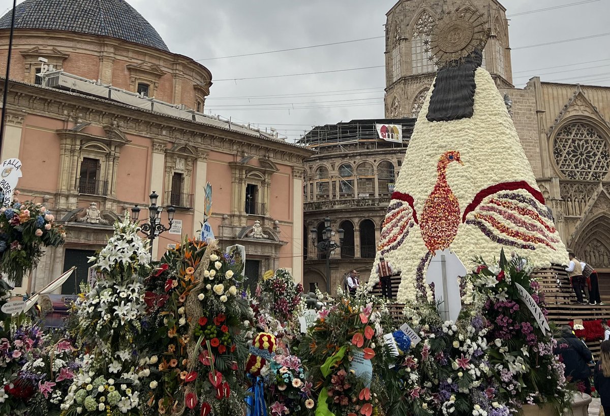 24/7 Valencia tweet media