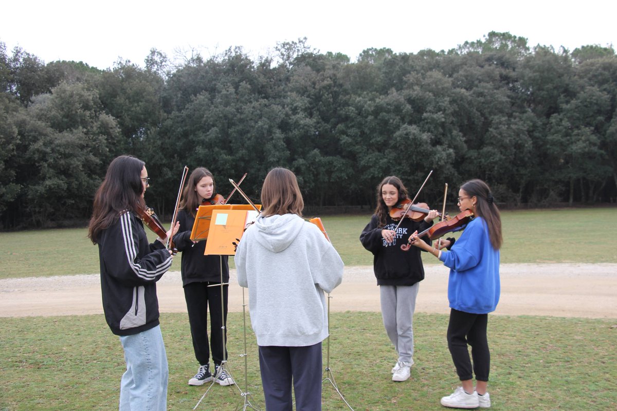 EMValldoreix tweet media