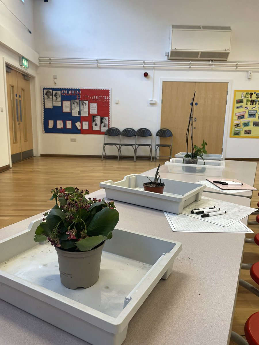 Lyminster Primary School tweet media