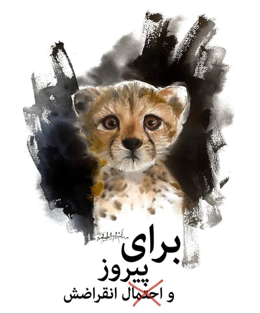 تاریخ از بی کفایتی شما آخوندا شرمنده خواهد بود و از ما مردم متعجب ...

#پیروز
#مهسا_‌‌‌‌‌‌‌‌‌‌‌‌‌‌‌‌‌‌‌‌‌امینی