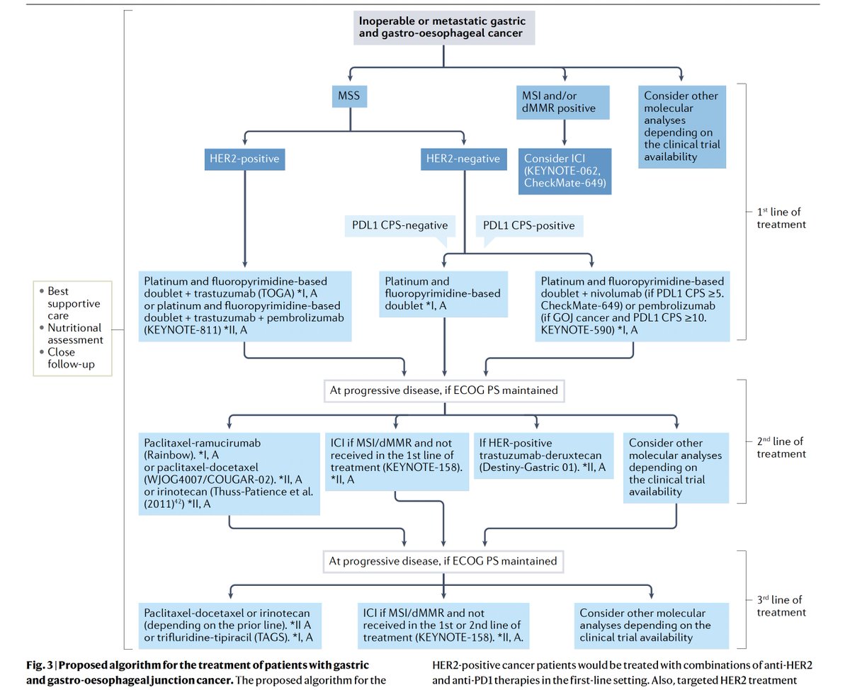 Arndt Vogel (@arndtvogel) on Twitter photo 🔥Current developments in gastric cancer: from molecular profiling to treatment strategy
<a href="/NatRevGastroHep/">Nature Reviews Gastroenterology & Hepatology</a>
doi.org/10.1038/s41575…
👏Extensive review & summary of key trials
😅Claudia 18.2 can be added, FGFR2 hopefully soon -> on the way to #PrecisionOncology
<a href="/myESMO/">ESMO - Eur. Oncology</a> <a href="/OncoAlert/">OncoAlert</a> 🔥Current developments in gastric cancer: from molecular profiling to treatment strategy
<a href="/NatRevGastroHep/">Nature Reviews Gastroenterology & Hepatology</a>
doi.org/10.1038/s41575…
👏Extensive review & summary of key trials
😅Claudia 18.2 can be added, FGFR2 hopefully soon -> on the way to #PrecisionOncology
<a href="/myESMO/">ESMO - Eur. Oncology</a> <a href="/OncoAlert/">OncoAlert</a>