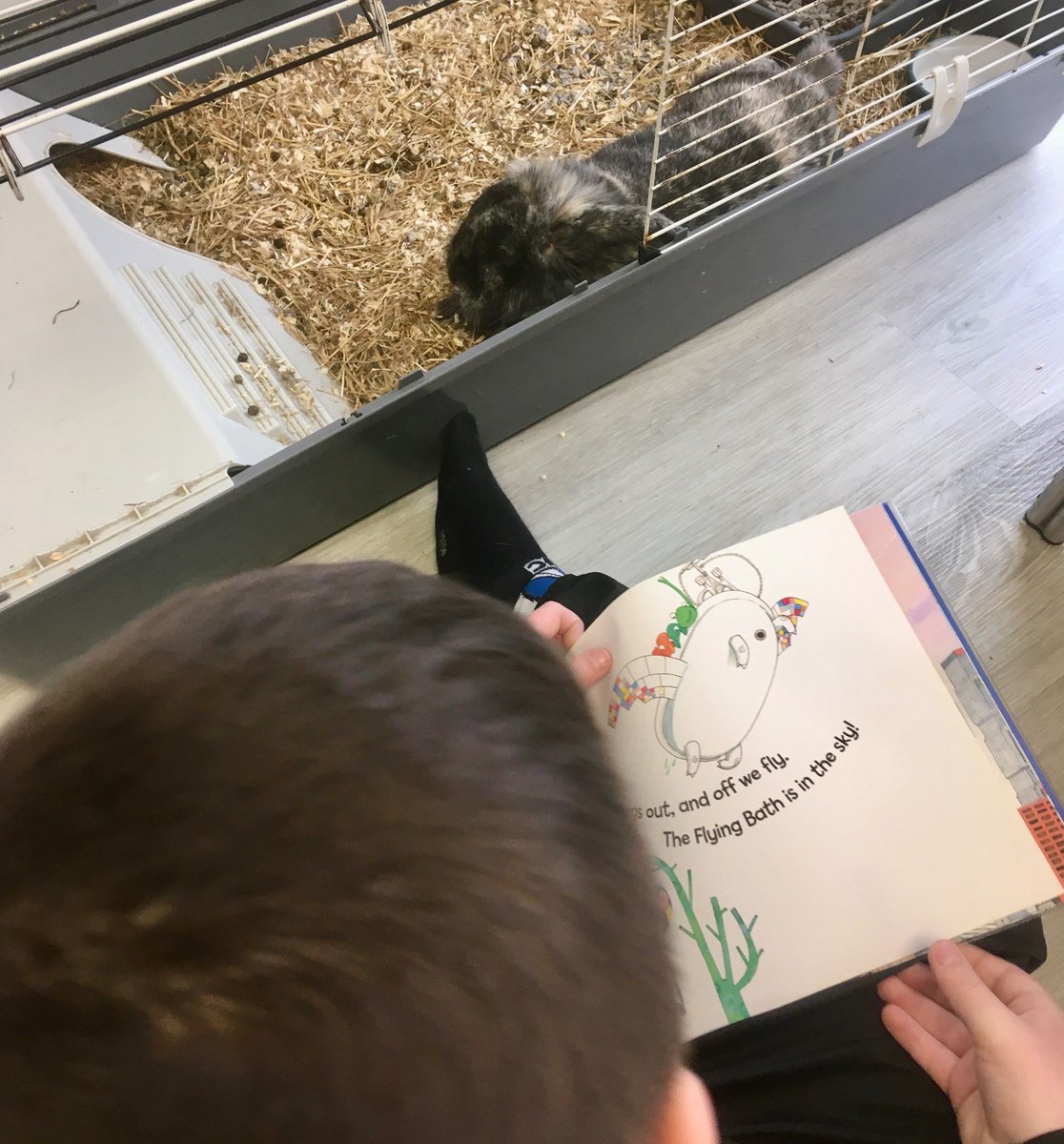 Enrichment Hub Bradway Primary tweet media