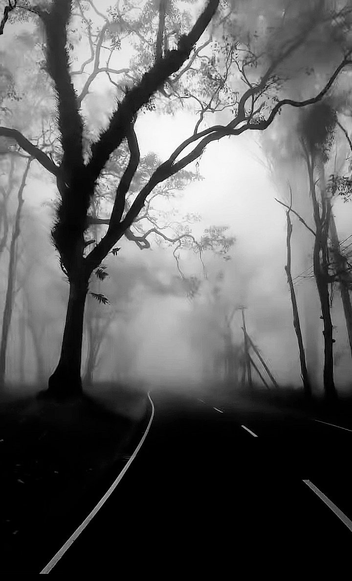 clicks1222's tweet photo. Photographers show me your best Black and white Shots  📸

I will start , this was one I sold as an NFT 

Let's support one another
Like, Comment &amp; #retweet your favs! Follow would be appreciated 🙏

Retweeting my favourite 🔃
#blackandwhitephotography
#photography #photo
Tap 👇 https://t.co/tnnlSLiGus