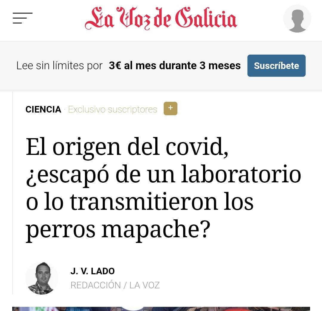 JuanMuncc's tweet photo. Ahora son los perros mapache😂😂😂😂😂😂😂 https://t.co/z0MNfQORDM
