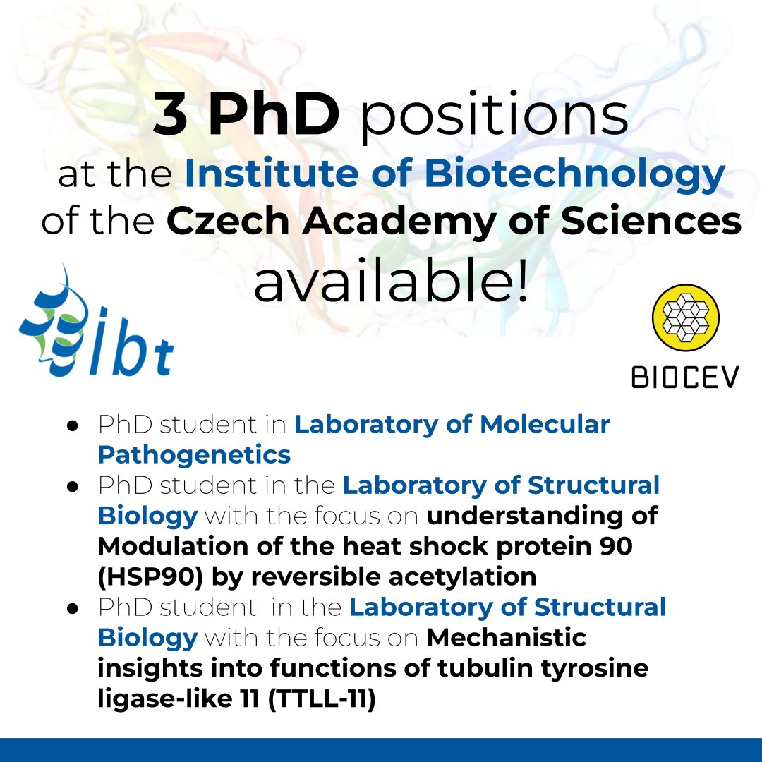 researchjobs_cz's tweet photo. 3 #PhD positions at the Institute of #Biotechnology @IBT_CAS / @CzechAcademy
* https://t.co/o4FsdzKoy1
* https://t.co/DG7CM3MbhS
* https://t.co/e8dT4PW3RL
#StructuralBiology
#biology #molecular #Pathogenetics #PhDposition #PhDinCzechia #PhDjobs
CC: @BIOCEV_science https://t.co/vJTrEIZ6Xv