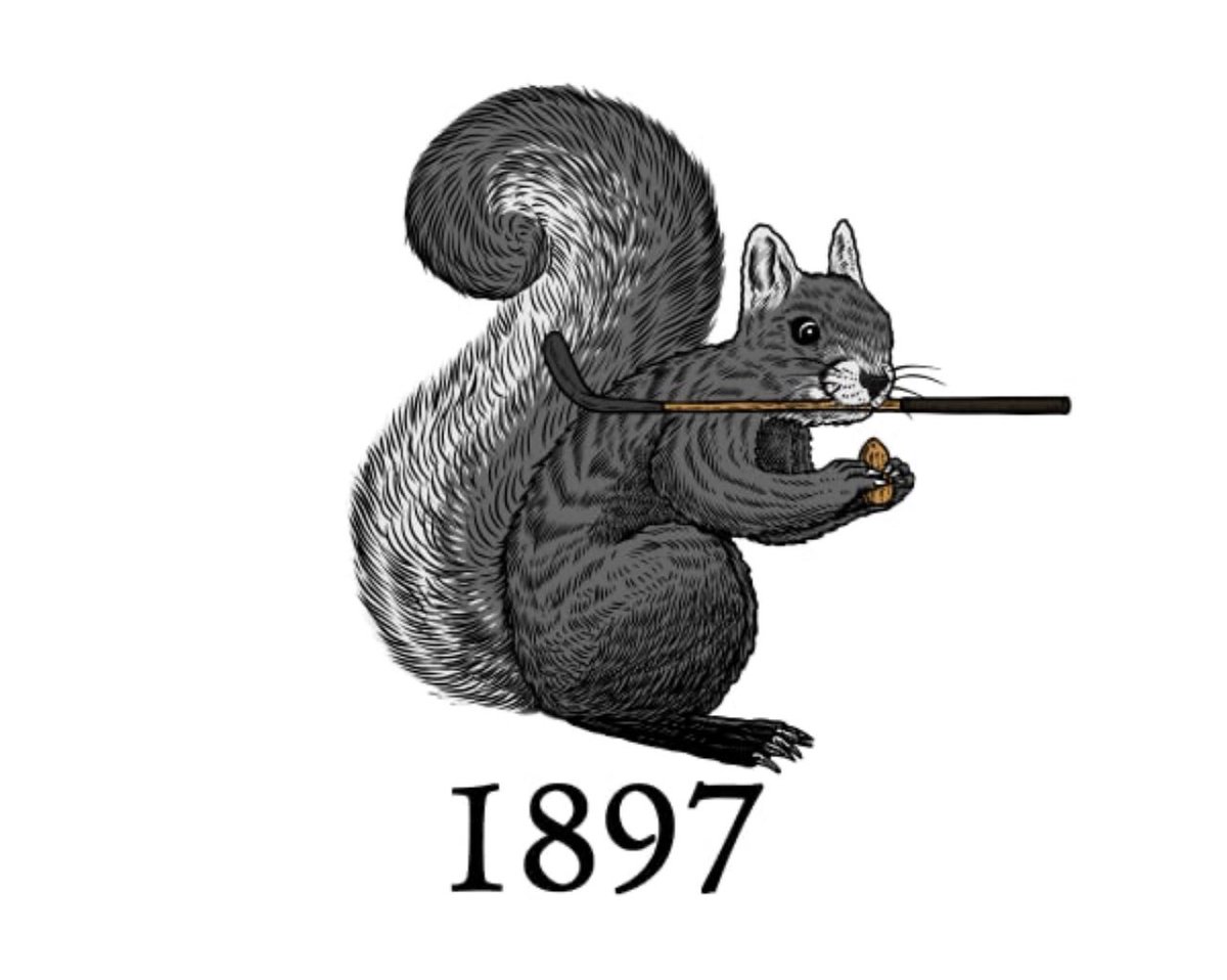 A work in progress: the semi-rare black fox squirrel of Belleair CC. They are one of a couple of species of of animals that inhabit the 125 year old club. 

They are also spectacular thieves, seen here with a cutdown pre-1900 long nose  Playclub.

@BelleairCC