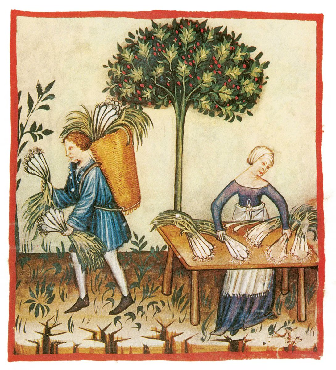 Happy St David's Day/ Dydd Gŵyl Dewi Sant hapus! 🏴󠁧󠁢󠁷󠁬󠁳󠁿

Welsh folklore tells us the leek is a magical vegetable that can alleviate childbirth pains, repel evil spirits, predict the future, protect in battle &amp; shelter from lightning. It also tastes great in cawl.

#StDavidsDay #Wales