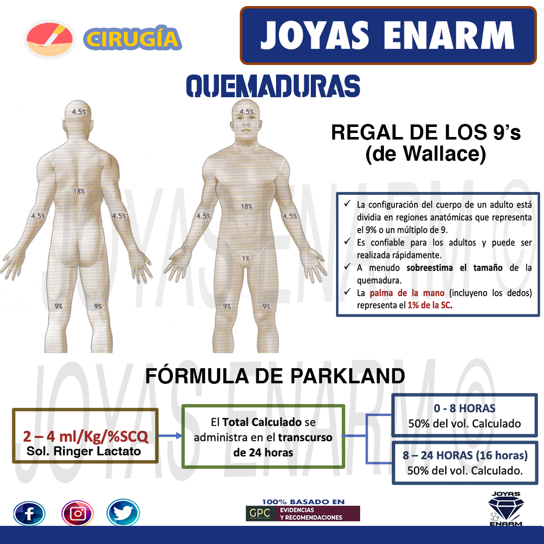 Joyas_ENARM's tweet photo. Quemaduras   #ENARM 💎

✅Encuentra el tema completo en: https://t.co/RJsORwf9HK

 Beneficios Exclusivos: https://t.co/Hs6dz9jCVK
#ENARM2023 🏆 https://t.co/ZDZ3S2ncsa