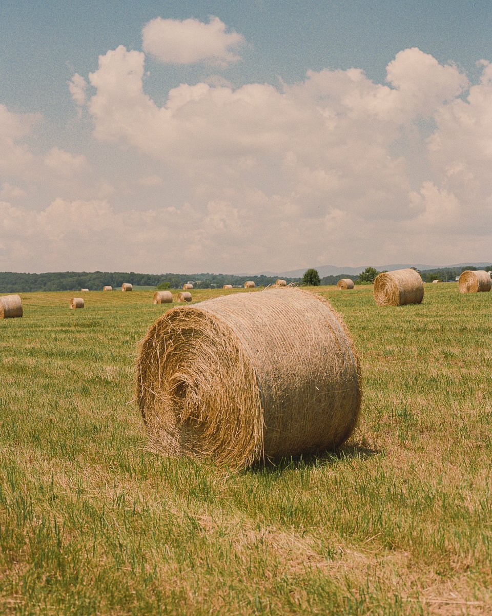 inthemeadow's tweet photo. *please read below* https://t.co/k6MNP5onBx